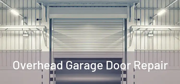  Overhead Garage Door Repair 